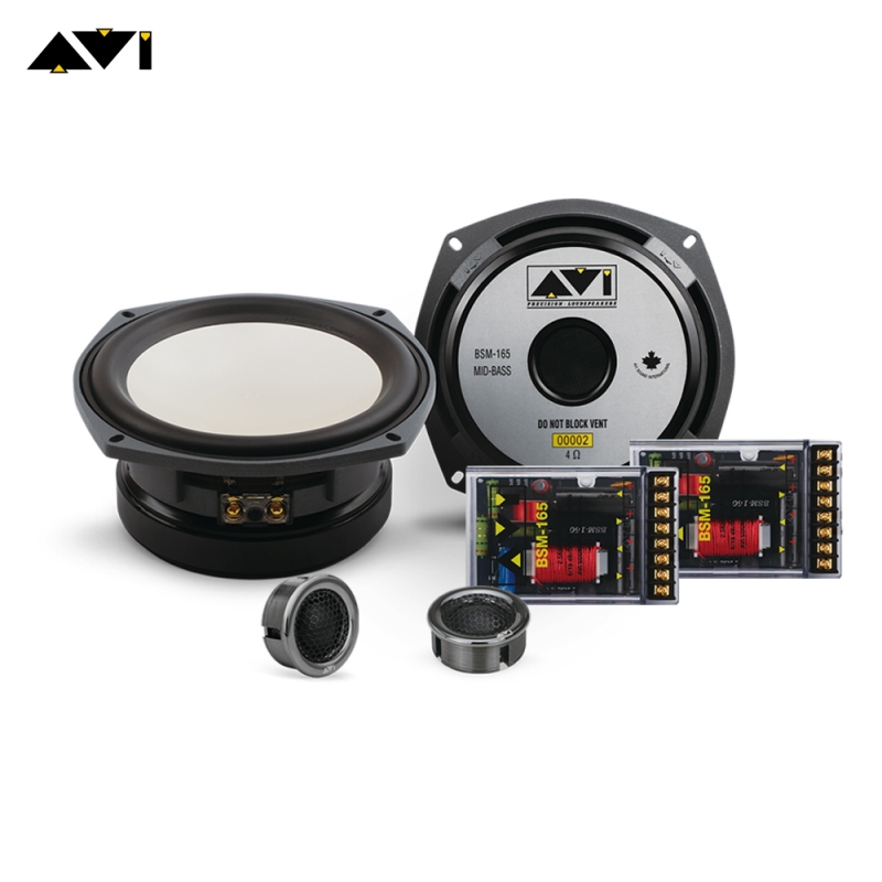 AVI Premium 2-way Component Speaker BSM-165